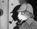 Sherlock cat